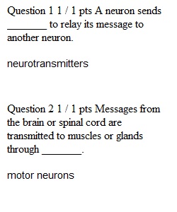 Chapter 2 Quiz